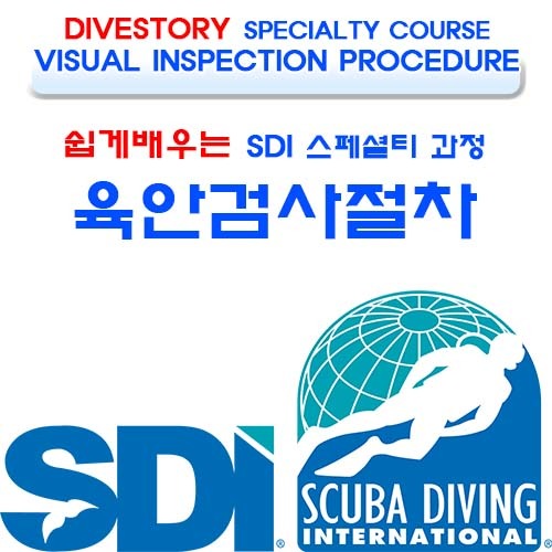 [SDI] 육안검사 절차 [쉽게 배우는 스페셜티 과정] (VISUAL INSPECTION PROCEDURE VIP LEARN SPECIALTY COURSE WITH DIVE STORY) 다이브스토리