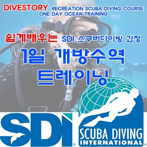 1일 바다 트레이닝 [SDI] 에스디아이 ONE DAY OCEAN TRAINING 